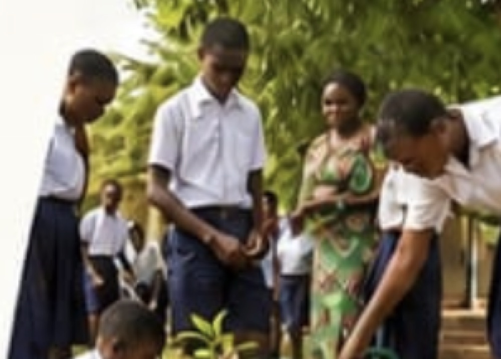 Pupils and a teacher standing among young plants on the school grounds during a planting session